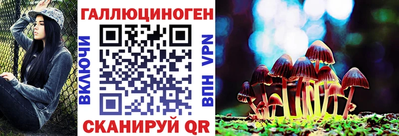 Галлюциногенные грибы Psilocybe Спасск-Рязанский